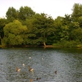 St. James' Park pond