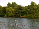 St. James' Park pond