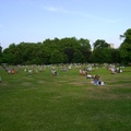 St. James' Park lawn chairs